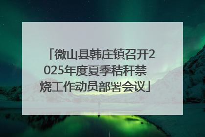 微山县韩庄镇召开2025年度夏季秸秆禁烧工作动员部署会议